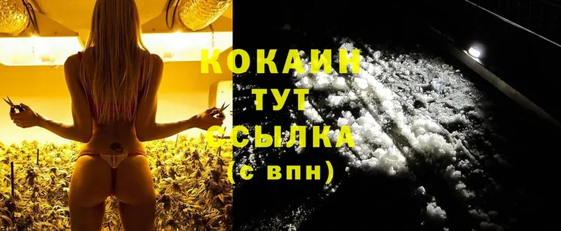 купить   Кизляр  Cocaine VHQ 